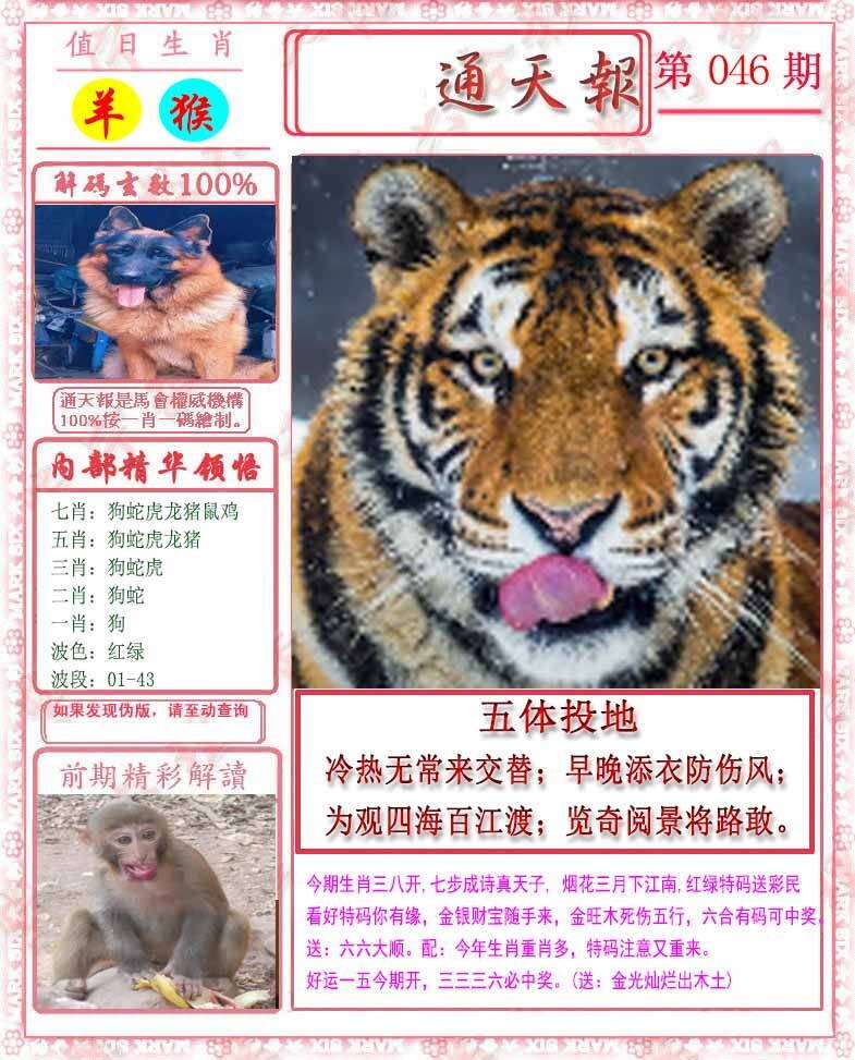 港彩图库 2026 马经通天报