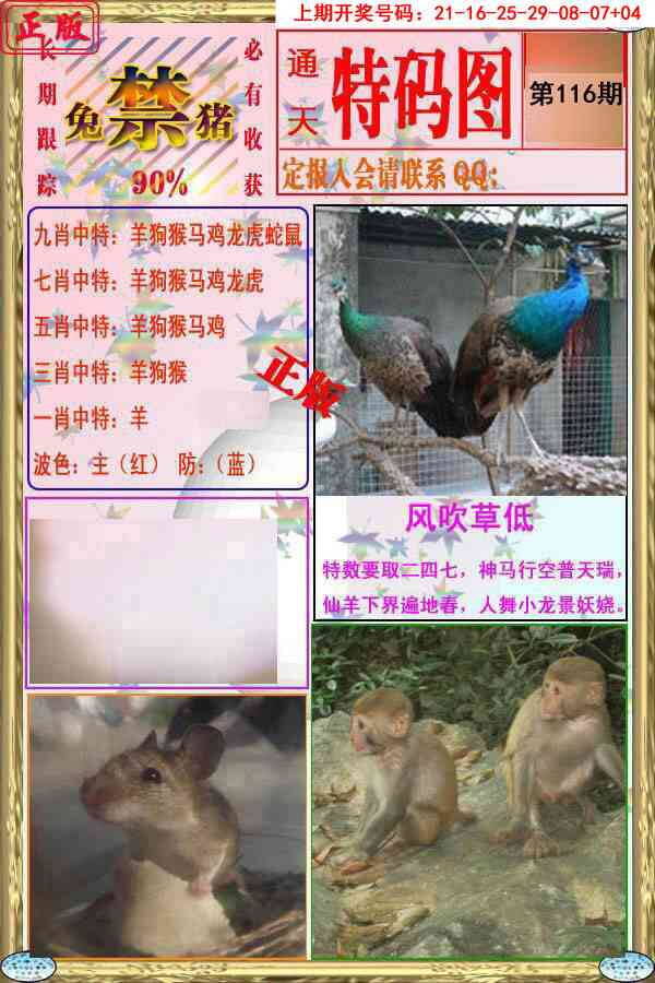 澳彩图库 2026 特码图